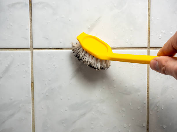 Best Office Mold Removal Services  in Kapolei, HI